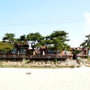 몽산포항 이미지