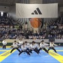 경희대천호태권도 네이버블로그