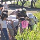 책숲길도서관 이미지