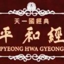 평화경 / 平和經 / Pyeong Hwa Gyeong - 501. 세계평화왕 교량·터널 제안 이미지