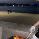 공현진가리비
