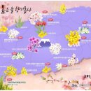 블루렌트카 이미지