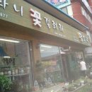 꽃집 Daum카페