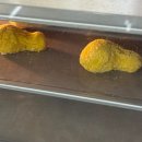 반려동물 필수 상식부터 자격증과 창업까지, 반려동물에 대한 모든 것 (3편) | 펫푸드학원으로 창업 가능할까? 자격증·현실 후기·준비 과정 총정리