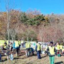 오도미 경관 숲 이미지