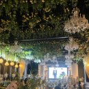 개인화물278 | [wedding] 03. 웨딩홀 투어ㅣ 2026년도 하반기 견적 ㅣ 더베뉴지 서울, 웨스턴팰리스