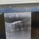 명덕동물병원 이미지