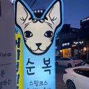 천안시 견인차량보관소 이미지