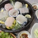 울진지중해 이미지