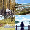 진천군 시설관리 사업소 | 청주여행 청남대 볼거리 입장료 주차장 가을축제 기간