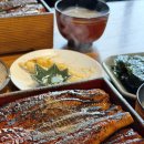 41190-01-07-168 | 서울 여의도맛집 장어덮밥 타마