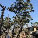 가평가평1084 이미지