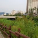 한산4교 이미지