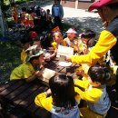 숲속자연유치원 이미지