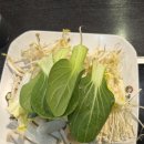 뽕잎사랑뽕잎냉면버섯샤브칼국수 | [뽕잎사랑 부평역점]부평 샤브샤브맛집, 빨간국물 샤브샤브, 무한리필 샤브샤브 추천, 메뉴판