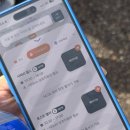 에버랜드 토요일 방문 후기 / 사파리 현장줄서기 / 티익스프레스 스마트줄서기