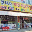 멋내는 애견 네이버블로그