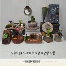 광주광역시장애인종합복지관 | 제주 서귀포 장애인복지관 여성장애인 도우아트지도사 자격과정 수업 후기