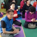 파랑새아파트경로당 Daum카페