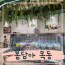 목동중앙로 | 목동 샤브샤브 고척동 맛집 봄담아 목동점 후기