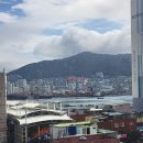 브라운 도트 호텔(남포자갈치점) | 부산 남포동 숙소 추천 브라운도트호텔 남포충무점 조식포함