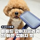비비드그루밍 | 강아지슬리커 추천 비비드, 안 아픈 강아지 빗