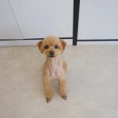 엠케이그루밍샵 이미지