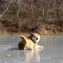 아이편한세상 이미지