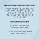 메이카드 네이버블로그