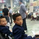 새암체육관 이미지