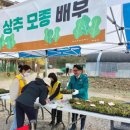 친환경나눔텃밭 이미지