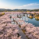 당진시 당진먹거리길 | 당진 벚꽃 명소 2026 5곳