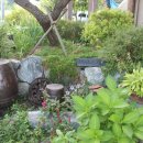 고향 청국장 이미지