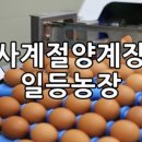 사계절양계장 이미지