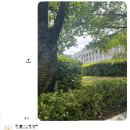 오월의 오돌이