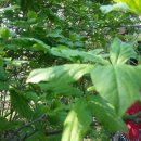 은원농장 이미지