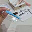 탯줄도장으로 남긴 소중한 첫 기록, 달빛새김 아기탯줄도장 후기
