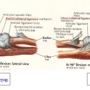 김영진한의원 이미지