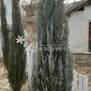 북풍농장 이미지