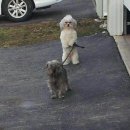 말랑말랑 이미지