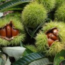 개간지천 이미지