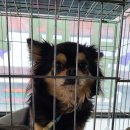 수리북로 이미지