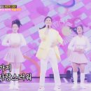 미스돼지 이미지