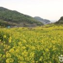 두모2리 이미지