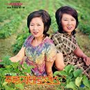 은방울자매 양미리 [푸른 지대 로맨스 / 잃어버린 상처] (1973) 이미지
