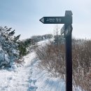 3월산행 고헌산 최단코스 추천해봅니다 이미지