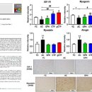 아미코젠㈜ 이미지