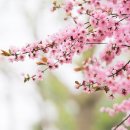 e편한세상시티 삼송1차 이미지