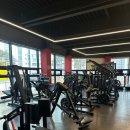 일프로짐 이미지