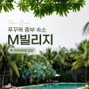 정글GYM | 푸꾸옥 중부 가성비 숙소 추천 M빌리지, 프라이빗한 감성 리조트